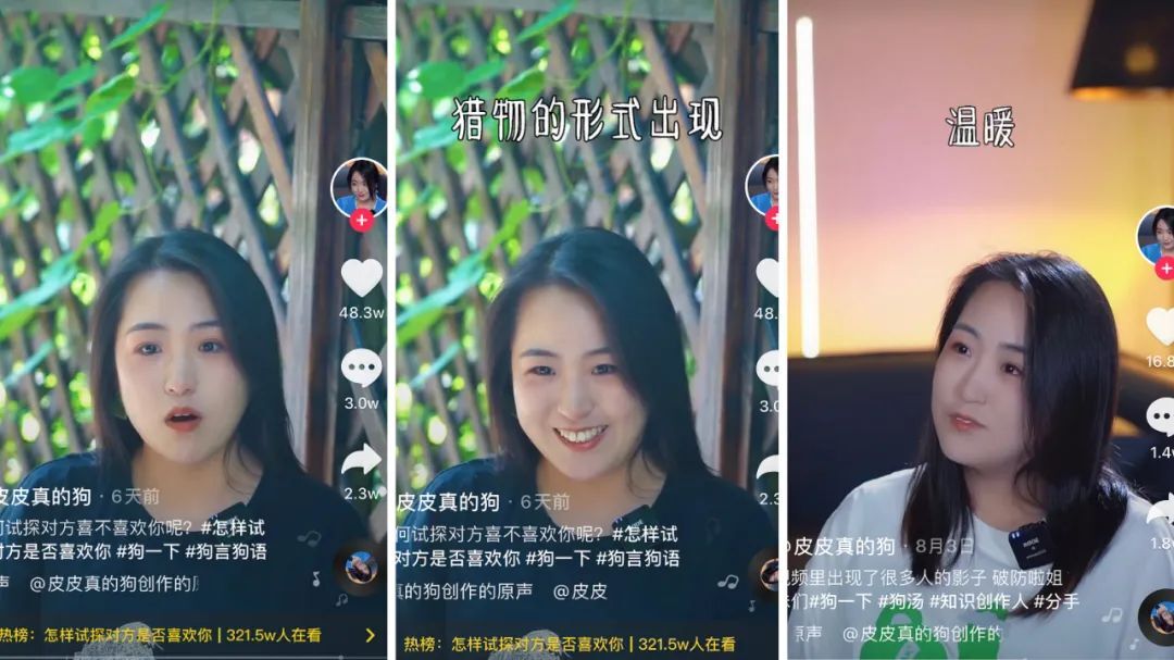 鸟哥笔记,短视频,卡思数据,账号定位,抖音,短视频,视频内容,案例分析,抖音,短视频,抖音 第21张