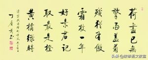 赠刘景文苏轼古诗赏析（赠刘景文的全诗翻译） 第7张