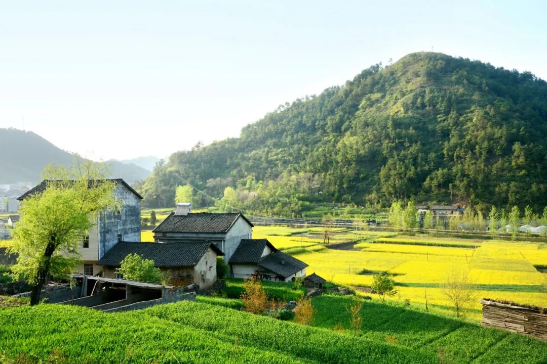 描写乡村风景的古诗（田园风光美景的诗句） 第1张