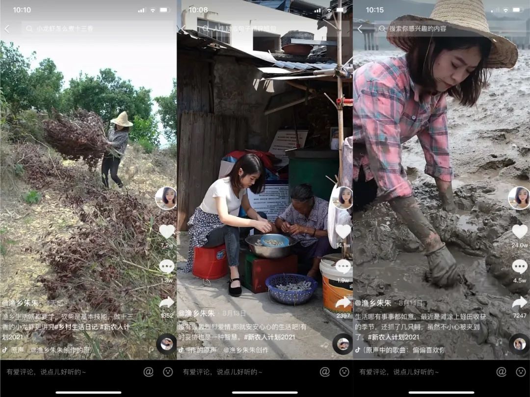 鸟哥笔记,短视频,十里村,账号定位,视频选题,短视频,视频内容,案例分析,爆款打造,短视频 第3张