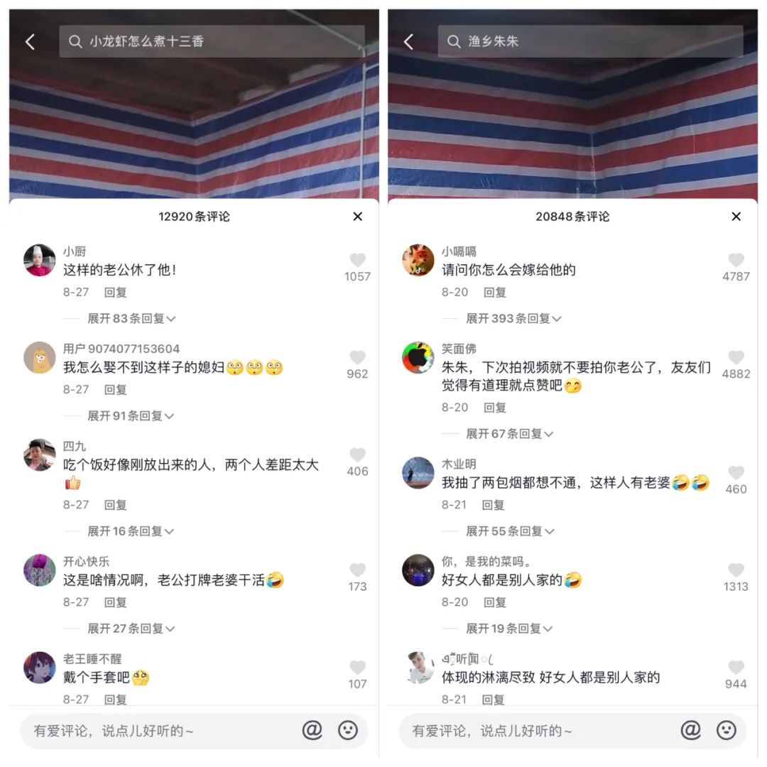 鸟哥笔记,短视频,十里村,账号定位,视频选题,短视频,视频内容,案例分析,爆款打造,短视频 第7张