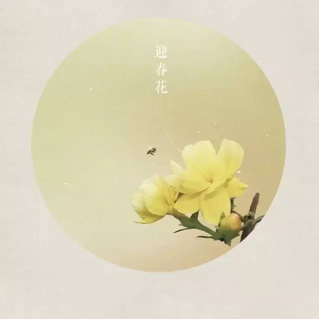 千古名句古诗大全（一瞥惊鸿的古风仙句） 第3张