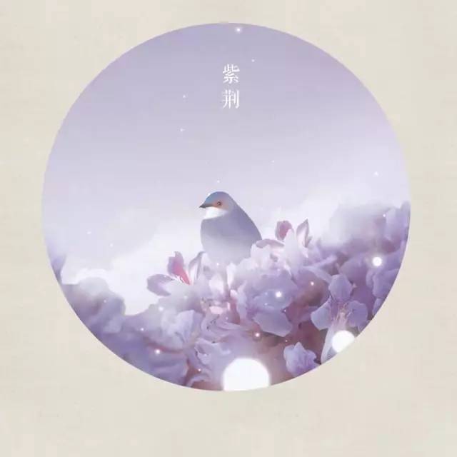 千古名句古诗大全（一瞥惊鸿的古风仙句） 第5张