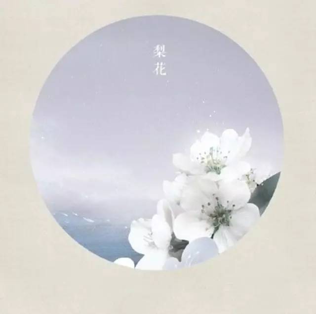千古名句古诗大全（一瞥惊鸿的古风仙句） 第17张