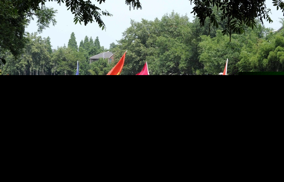 端午节诗句古诗（端午节的诗句古诗大全） 第5张