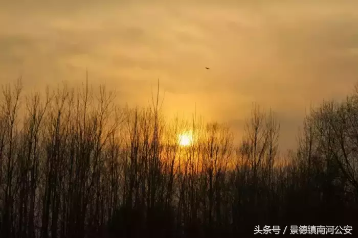 写夕阳落日的诗句（日落美景优美诗句） 第13张