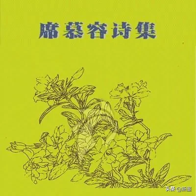 七里香席慕容赏析（现代诗七里香赏析） 第1张