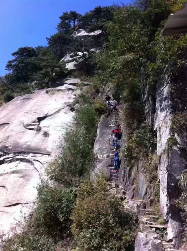 悬崖边的树诗歌赏析（抒情的现代诗短篇） 第1张