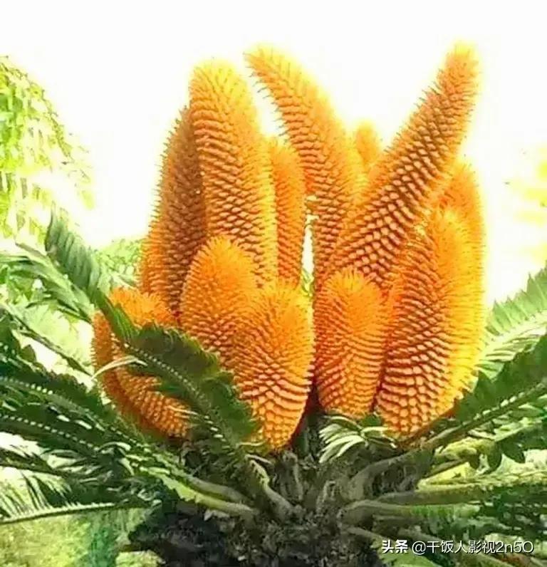 生日藏头诗祝福语（高情商的祝别人生日快乐） 第17张