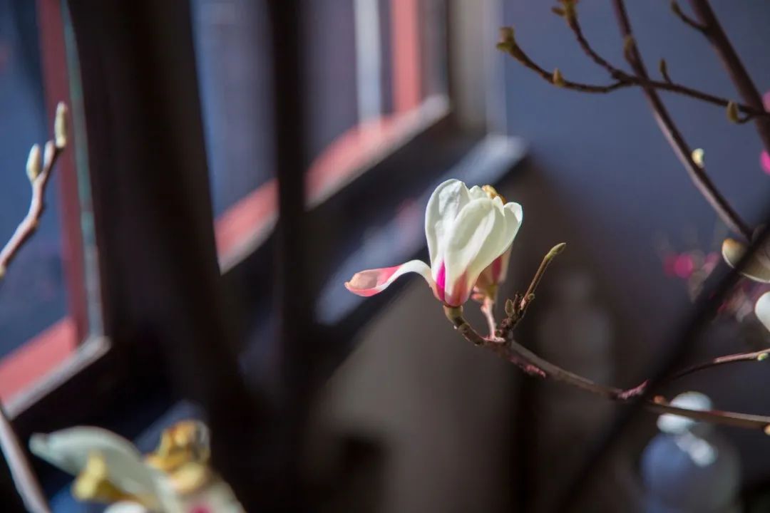 哲理诗的代表作（蕴含人生哲理的古诗） 第7张