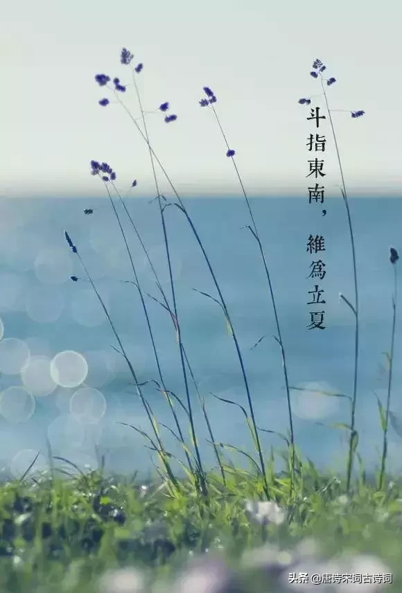 形容初夏的诗句古诗（形容夏天的唯美句子） 第1张