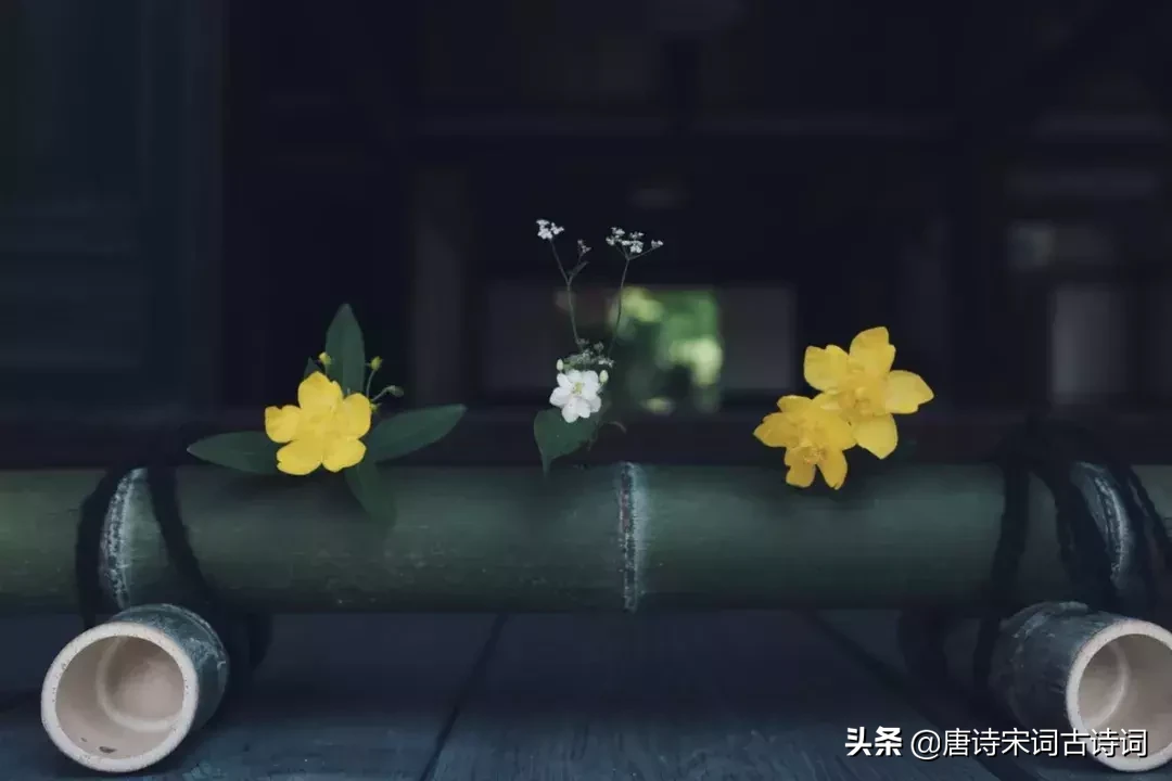 形容初夏的诗句古诗（形容夏天的唯美句子） 第9张