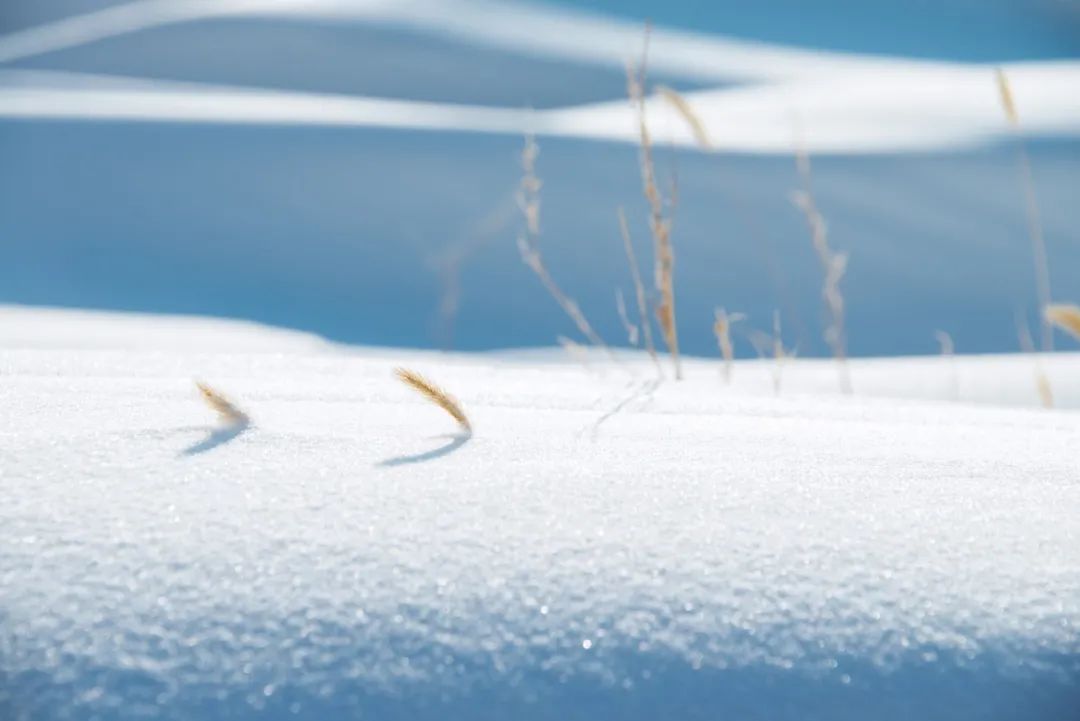 大雪诗句经典名句（赞美大雪美景的诗句） 第3张