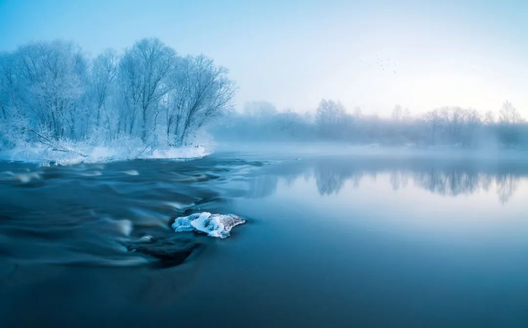 大雪诗句经典名句（赞美大雪美景的诗句） 第13张