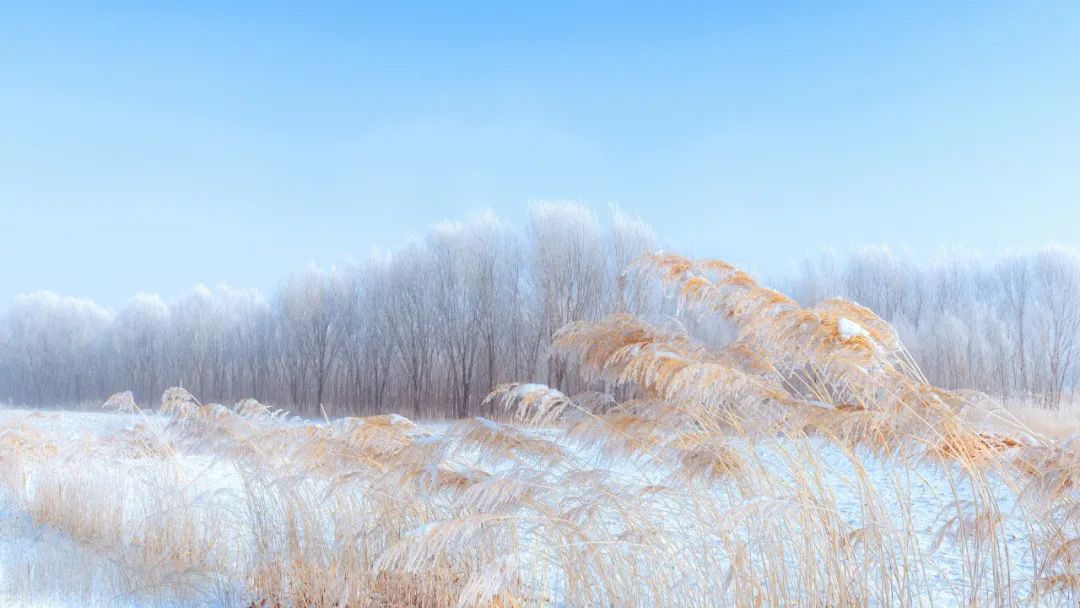 大雪诗句经典名句（赞美大雪美景的诗句） 第17张