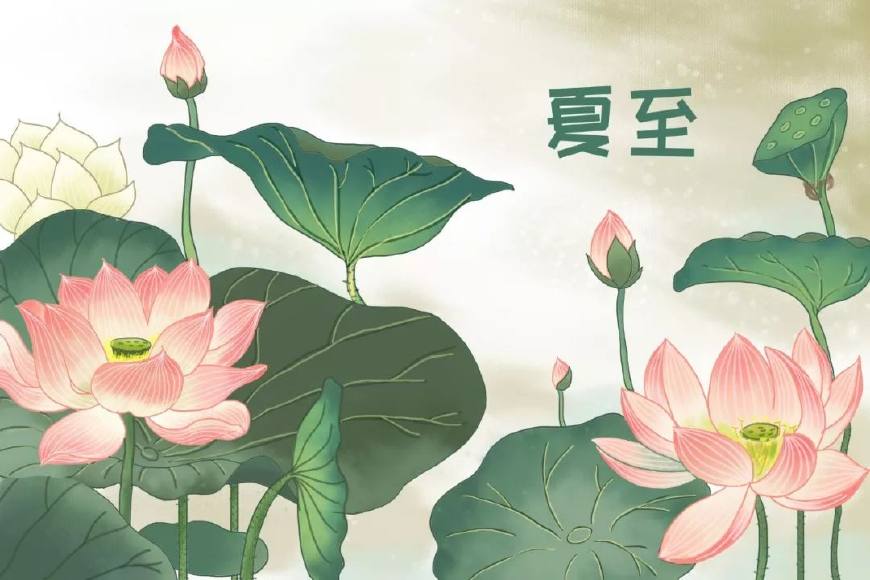 有关夏至的古诗词诗句（关于描写夏至的古诗赏析） 第5张