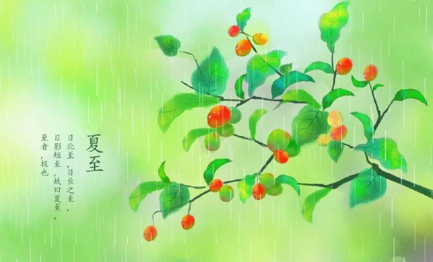 有关夏至的古诗词诗句（关于描写夏至的古诗赏析） 第7张