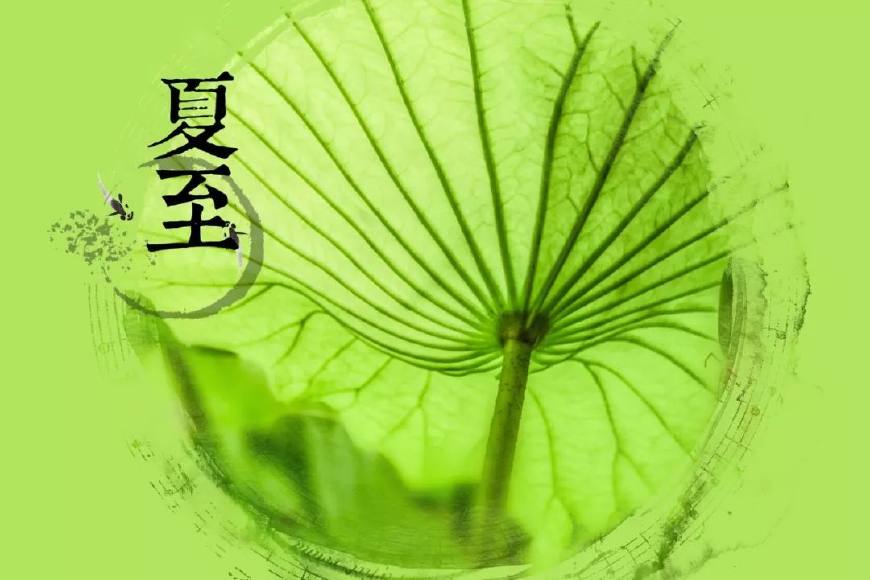 有关夏至的古诗词诗句（关于描写夏至的古诗赏析） 第11张