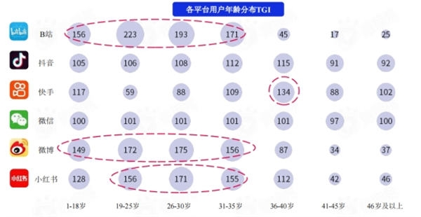 盘点各大新媒体平台用户及平台调性和引流变现的思路 第3张