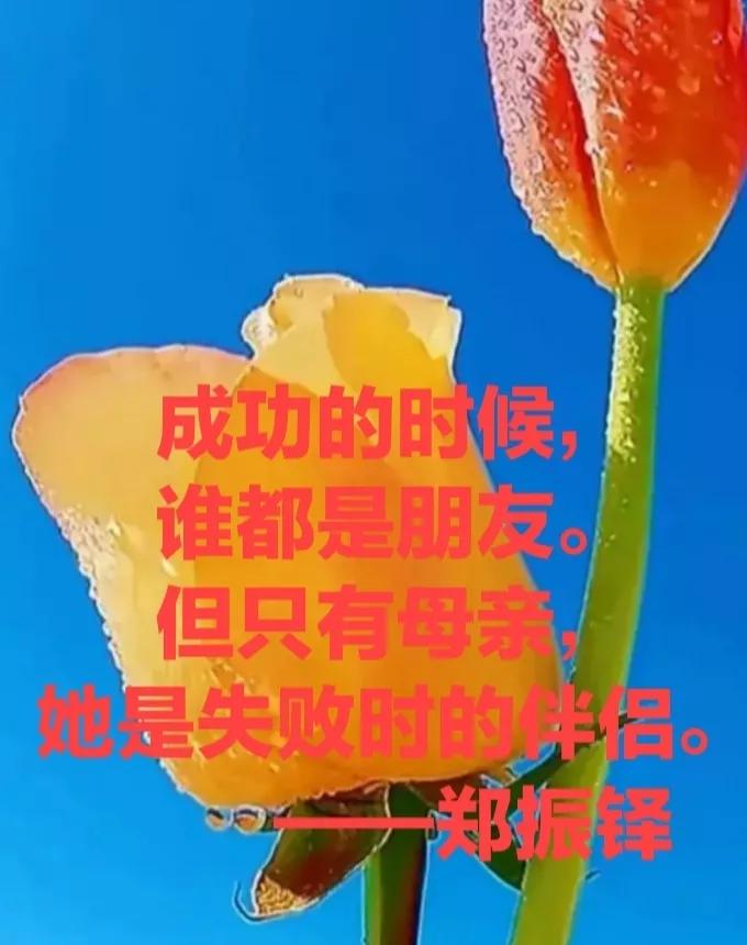 赞美母亲的句子和段落优美（歌颂母爱的优美语段） 第3张
