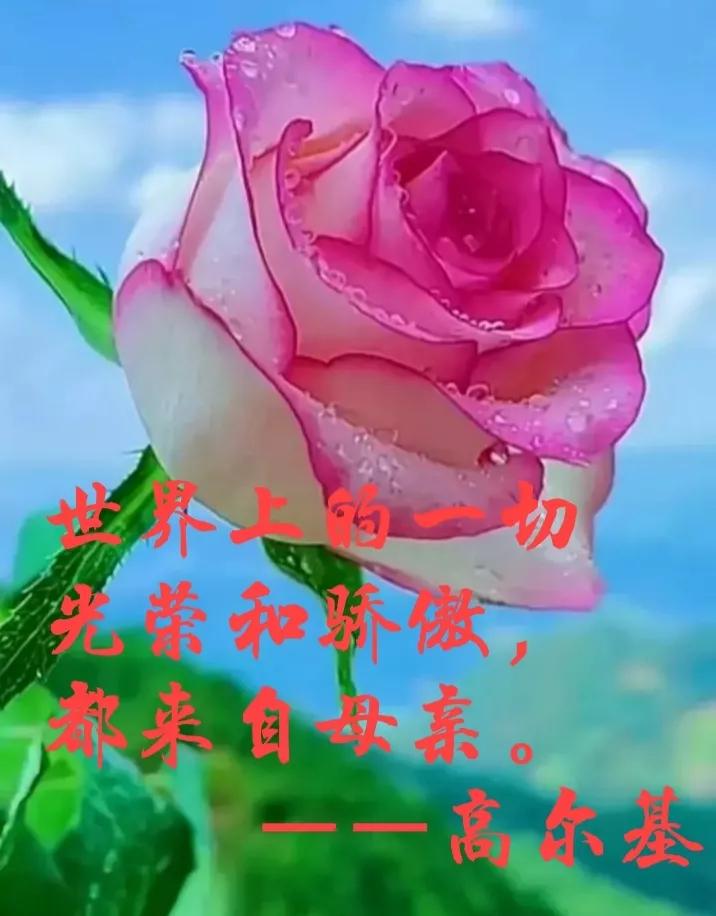 赞美母亲的句子和段落优美（歌颂母爱的优美语段） 第5张