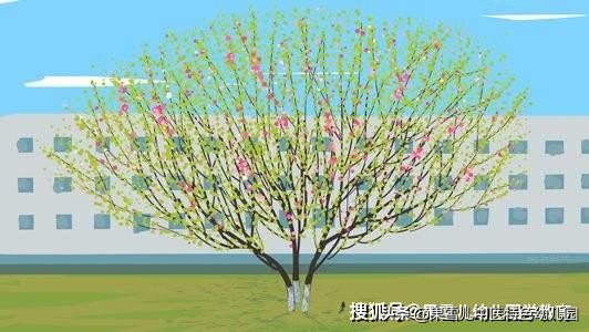 现代儿童诗短诗有哪些（儿童现代诗歌短诗分享） 第25张