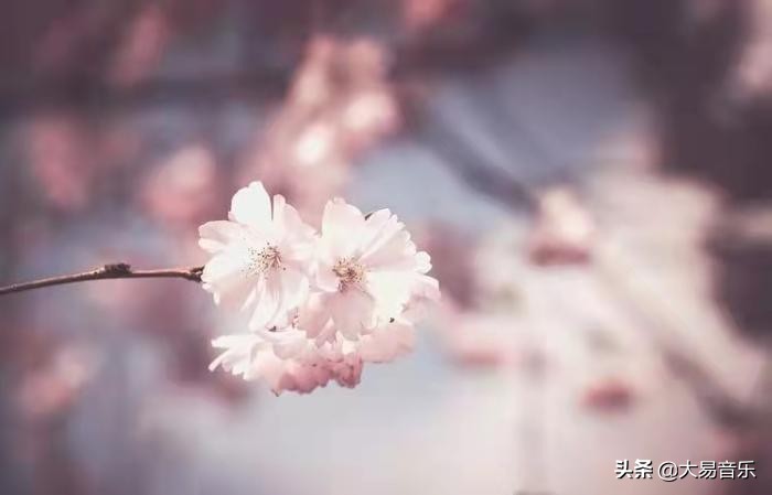 描写心情的句子唯美短句（打动人心的情感语录） 第1张
