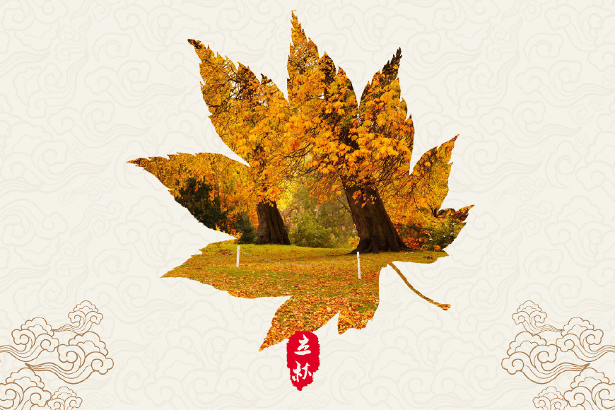 描写秋天的诗词有哪些（关于秋天的诗句古诗词） 第9张