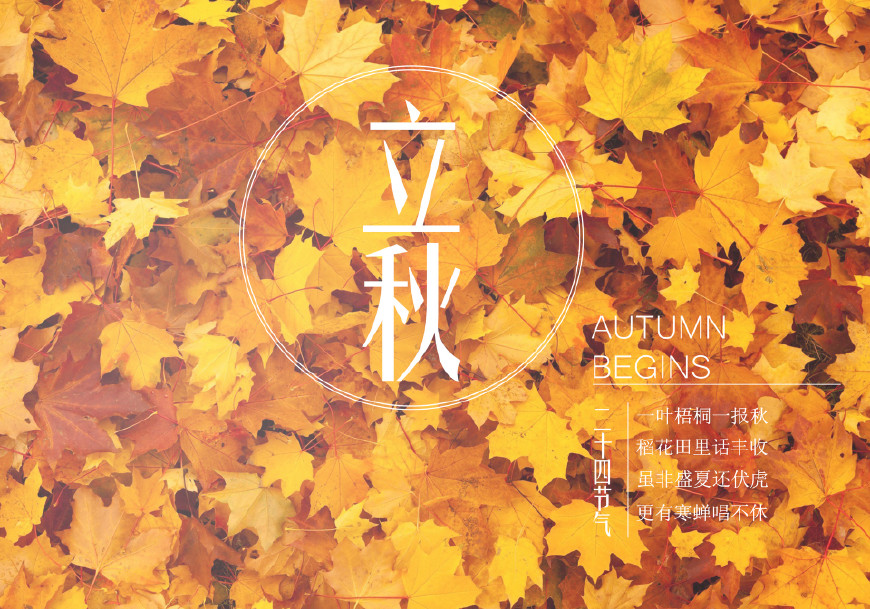 描写秋天的诗词有哪些（关于秋天的诗句古诗词） 第13张