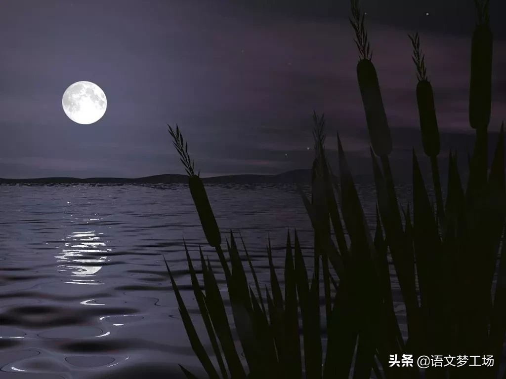 苏轼水调歌头全诗赏析（苏轼水调歌头原文及翻译） 第7张