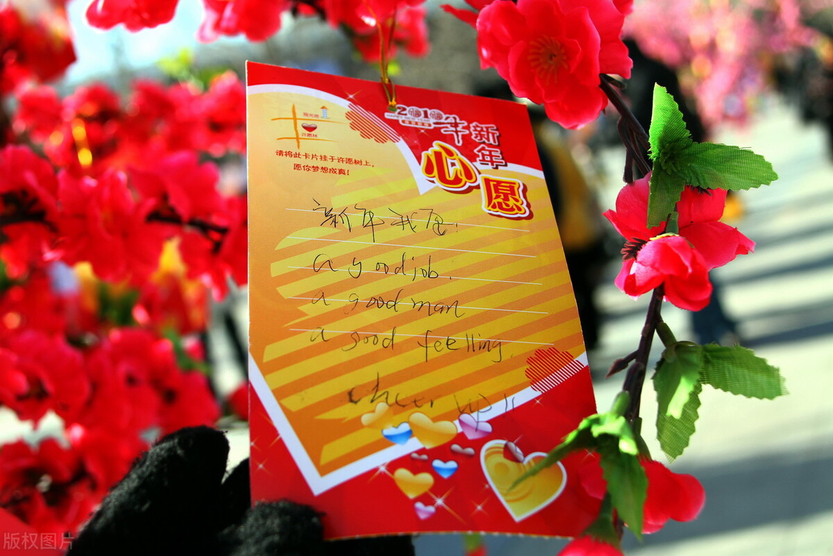 老虎的成语吉祥语（虎年的吉祥语四字） 第5张