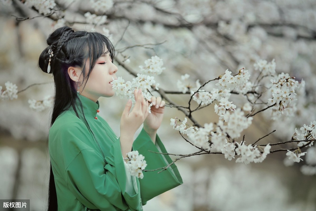 宋朝诗词名句大全（千古绝句最美宋词） 第7张
