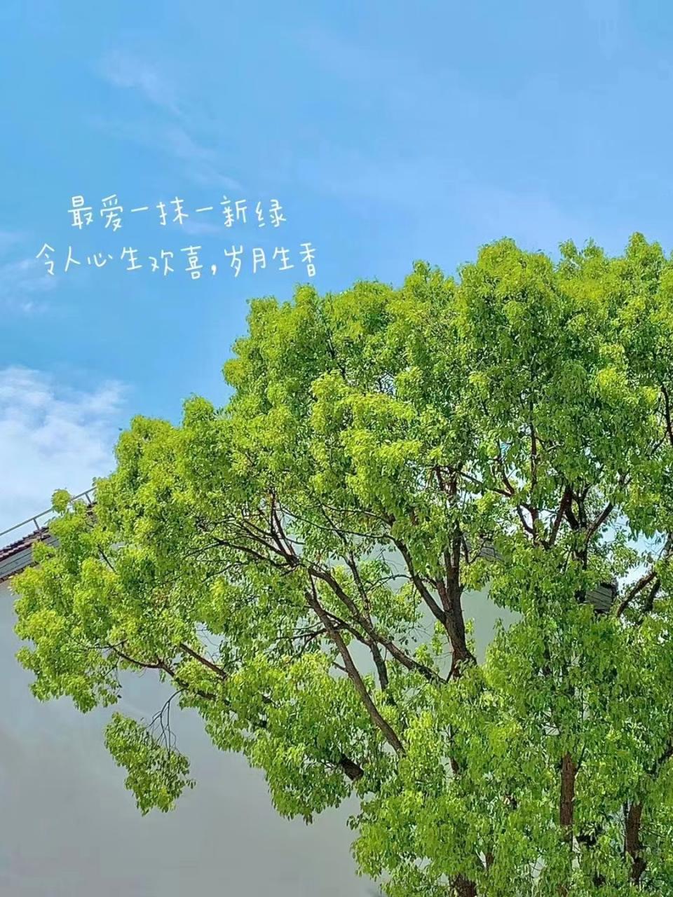 遇事最有水平的思维方式 第7张