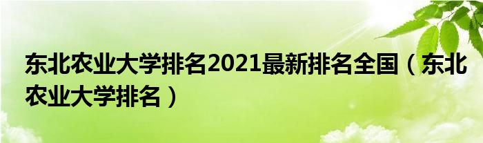 东北农业大学排名2021最新排名全国（东北农业大学排名） 第1张