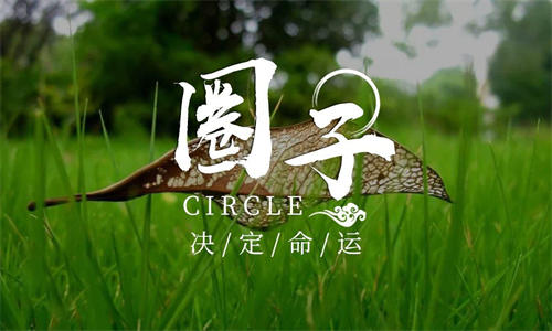为什么你总是被别人割韭菜？ 第7张