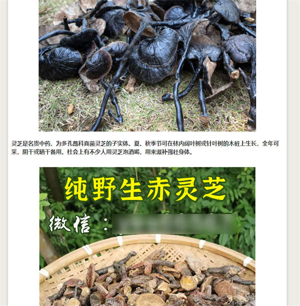 做网站，还是大有可为！ 第3张