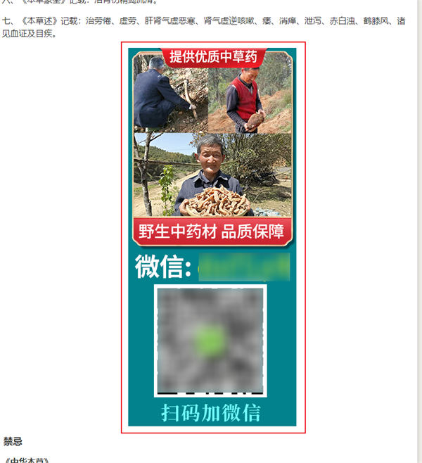 做网站，还是大有可为！ 第5张