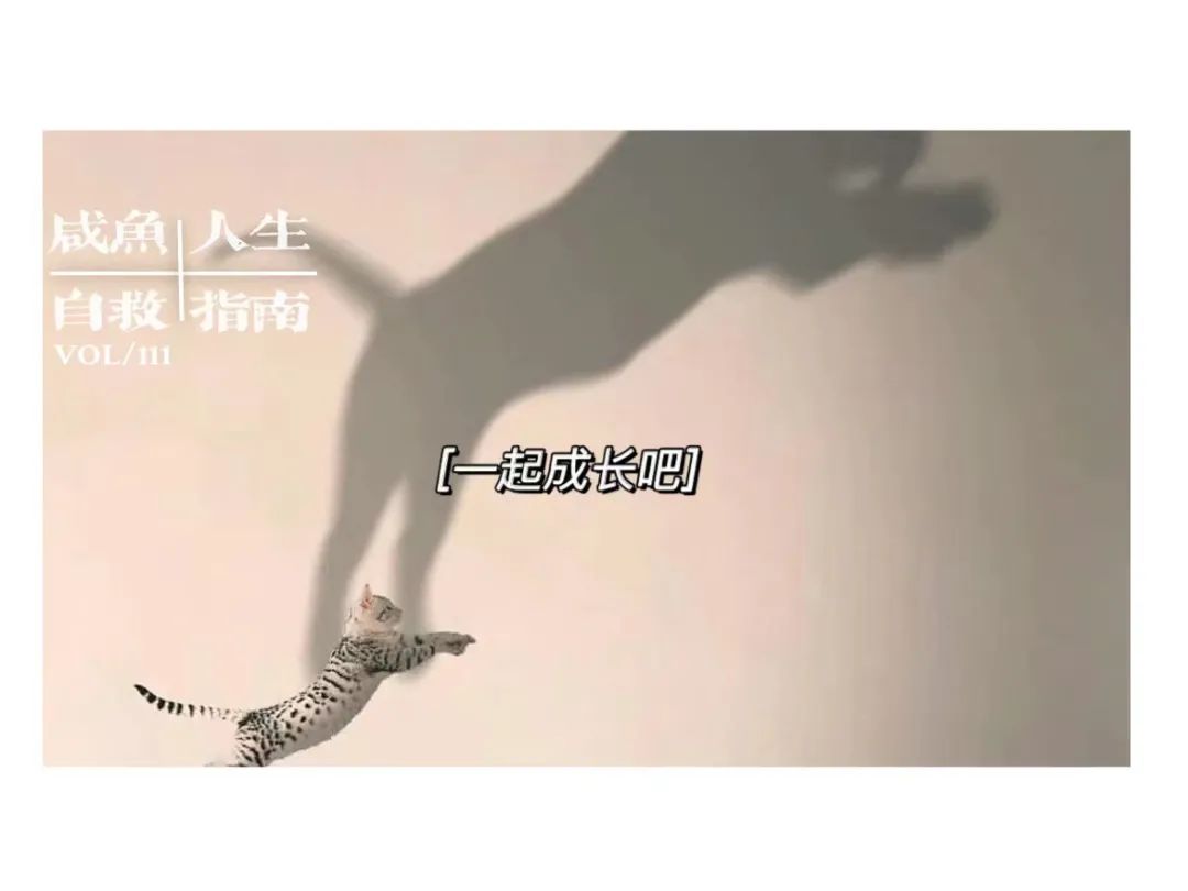 把一个自媒体账号从0做到可以赚钱，拢共分几步？|普通人做自媒体03 第1张