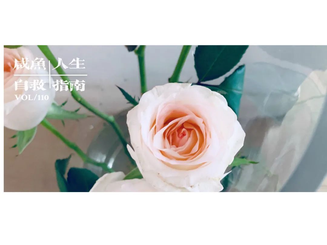 大多数（即将失败的）自媒体人都没意识到但其实特特特特特别重要的一件事| 普通人做自媒体 第1张