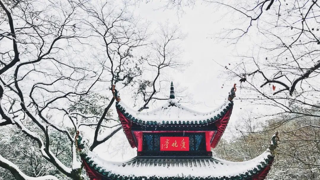 冬至诗句经典古诗（赞美冬至的著名诗句） 第1张