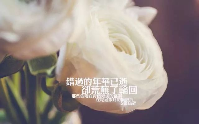 路过心上的句子伤感（人生路过的风景的句子） 第3张