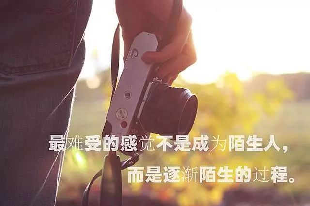 路过心上的句子伤感（人生路过的风景的句子） 第5张