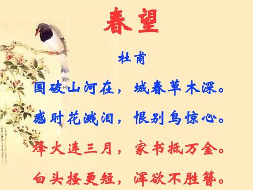 春望古诗原文是什么（春望古诗词赏析） 第7张