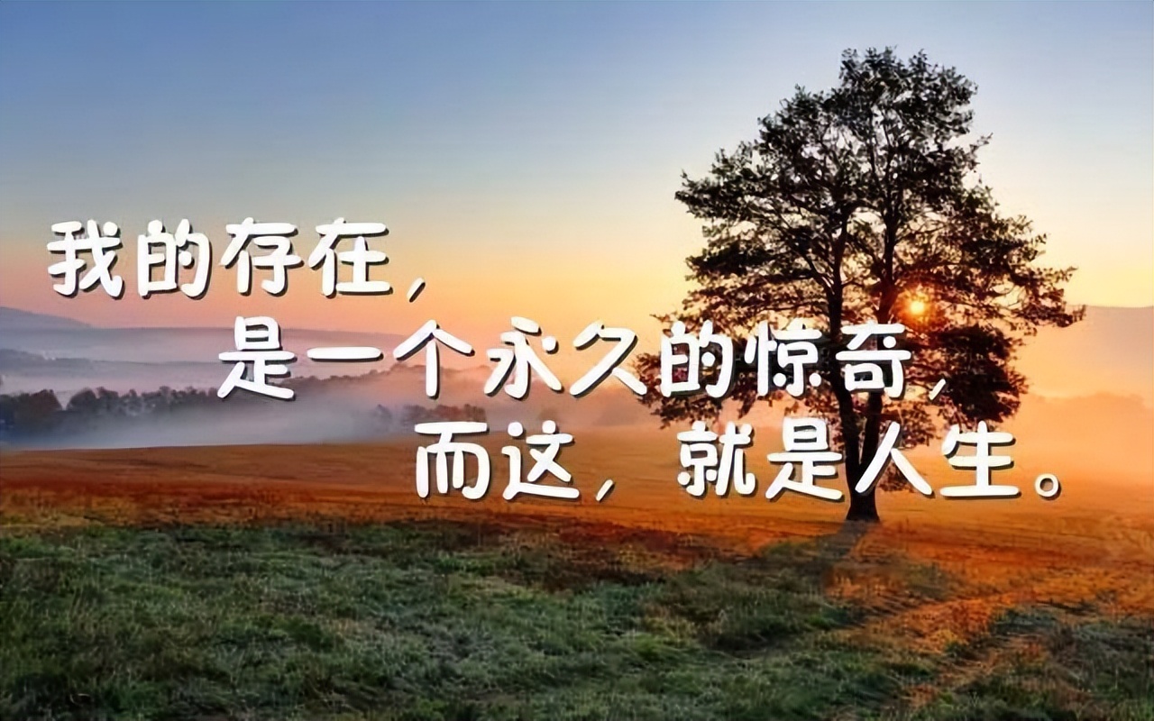 激励人心的句子简短（激励自己的名言警句） 第11张