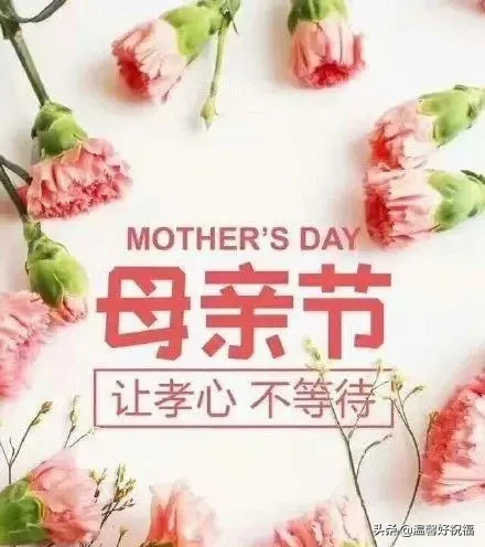 简短感恩母亲节话语（母亲节感恩母亲的一段话） 第11张