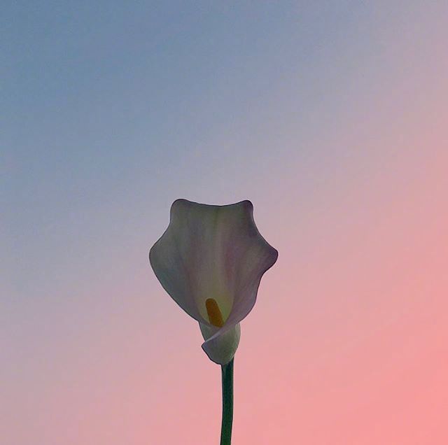 七夕情话句子说说（简短最浪漫的表白文案短句） 第3张