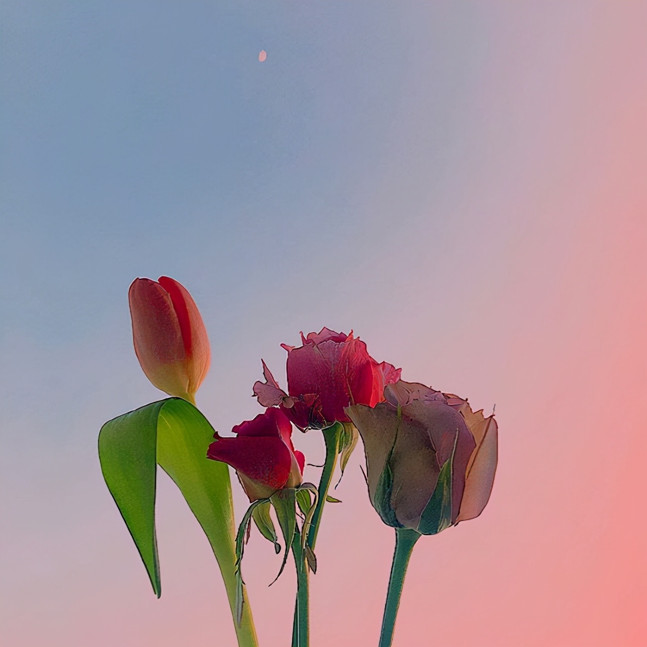七夕情话句子说说（简短最浪漫的表白文案短句） 第5张