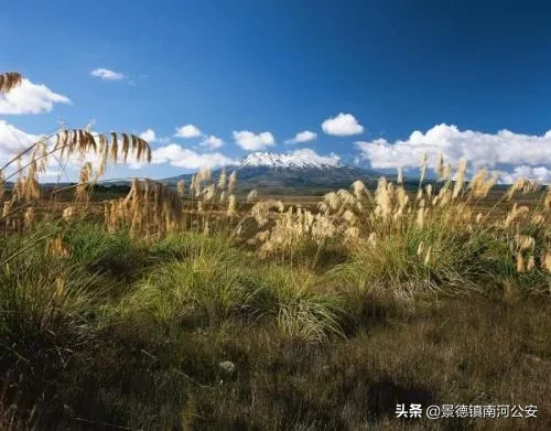 描写农村生活的诗句（惬意的乡村生活的句子） 第3张