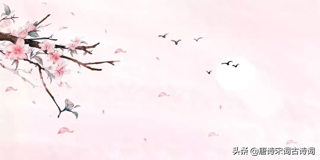 关于桃花的诗句古诗（描写桃花的优美句子） 第9张
