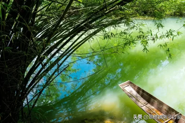 有关夏天的诗有哪些（描写夏天的古诗大全） 第7张